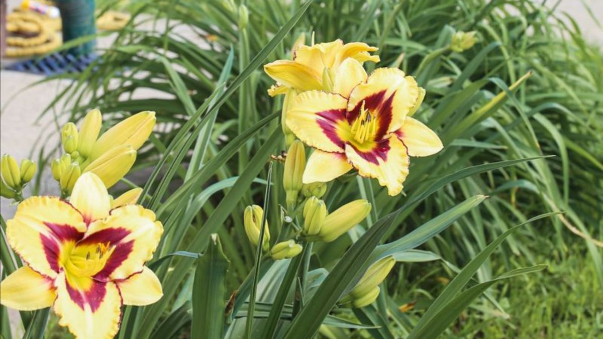 �����, ������� ������ ���� ��� ������ ������: 10 ������������� ��� ������ ����