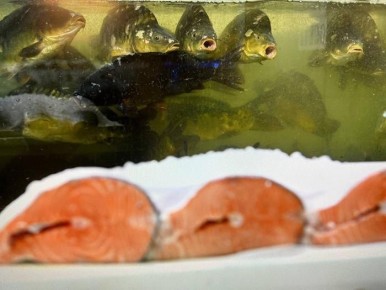 Экономия на морепродуктах: Как собрать идеальный новогодний стол без лишних затрат