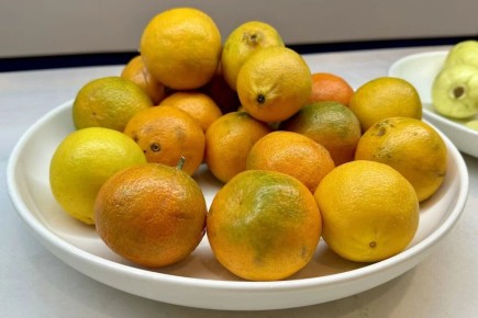 Мандарины: кому стоит быть осторожнее с сочными цитрусами