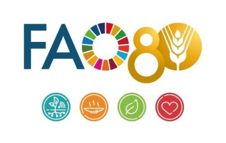 16 октября: двойной праздник для продовольственной безопасности и экологии