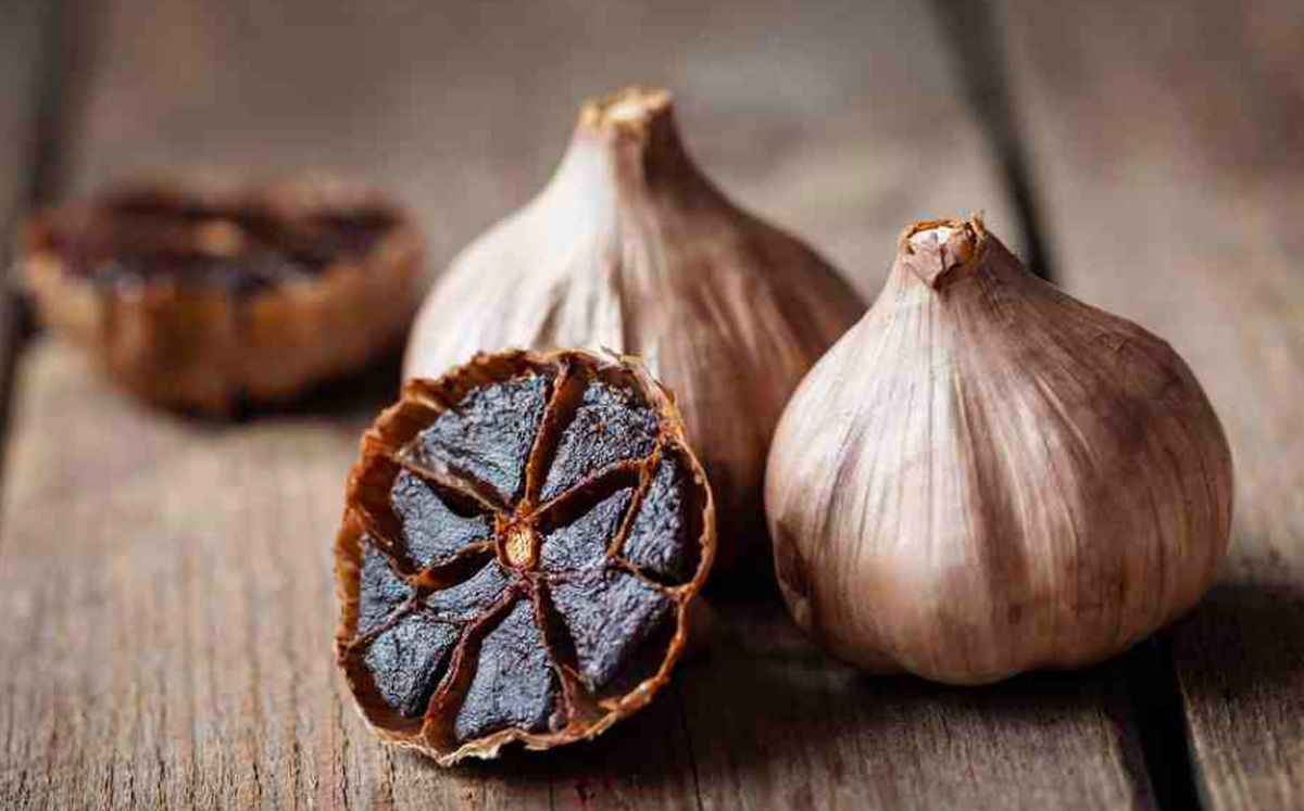 ���� �� ������� �������: ����� ������ �� ���������