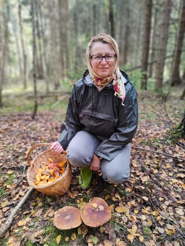 Грибное меню на два дня