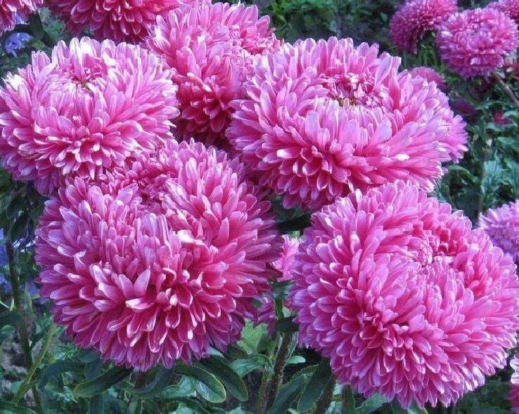 ����� �������� ����: ��� ������� ���� ��� ������� ����