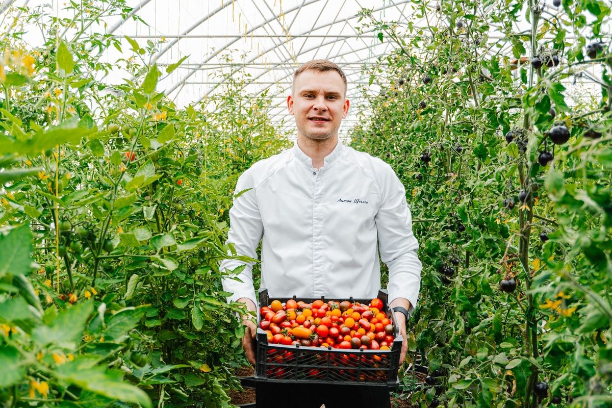 ��� ���-����� �������� ���������� �������� ��� ������� �����������