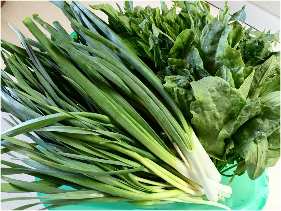 ����� ������ �� ��������� �����: ��� ������� ������� ������� �����