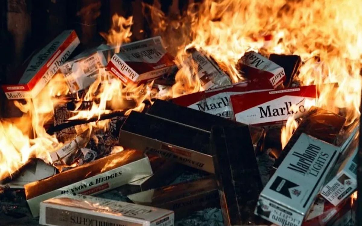 ��� ��������, ���� ����� ��������: �������� ��� �������� � ���������