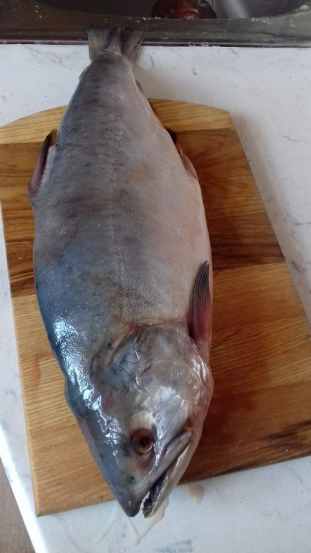 ��� ������� ��������� ������� � �������� ���� � �������