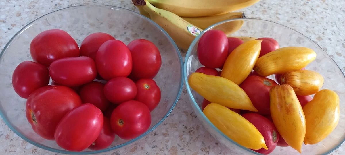 ��� ��������� ����� ������� ���� ��� ������ ������