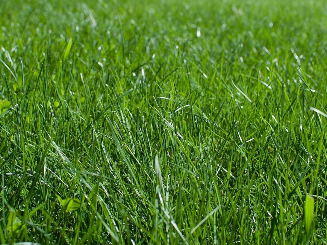 ��������� ����� RHS ��� �����, ���� � �������� ��������