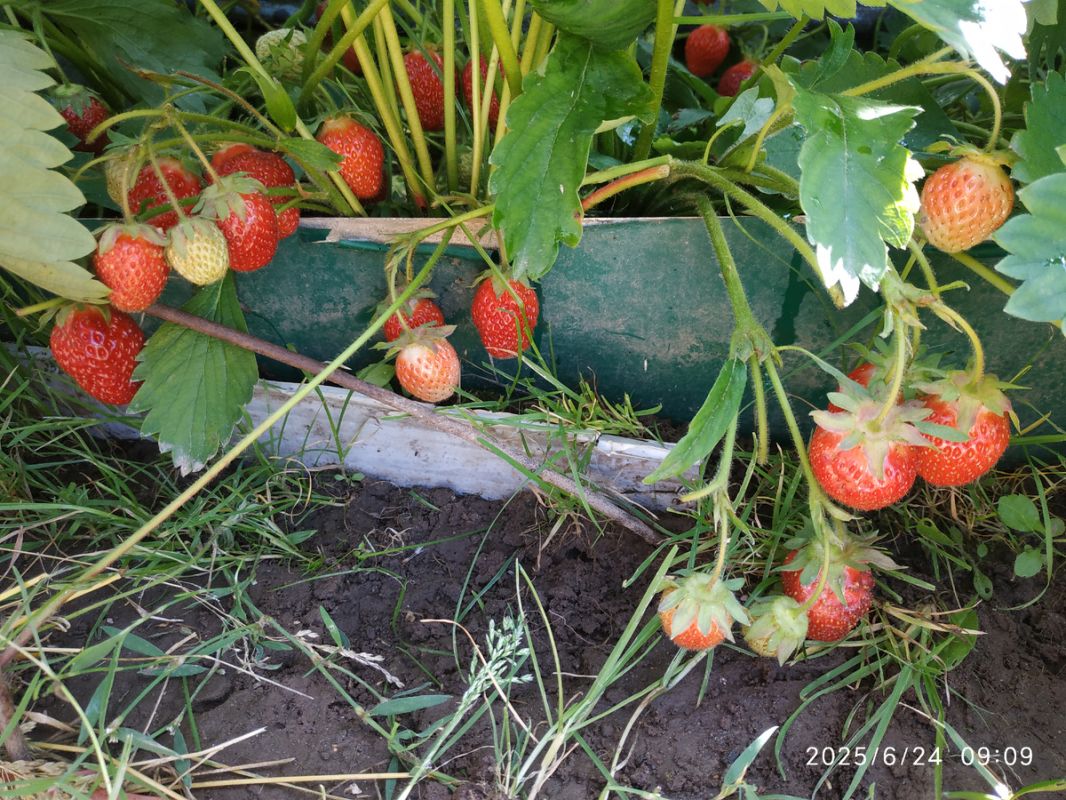 ��� ����������� ����� � ����: ������ ��� ���������