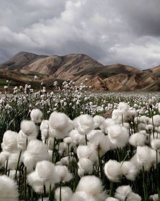 ������: ������������� �������� ��� ������, ������� � ����� ��� ������