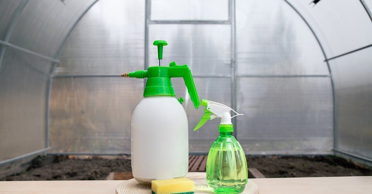 ������� ������: ��� ��������� ����������� ������� � ����