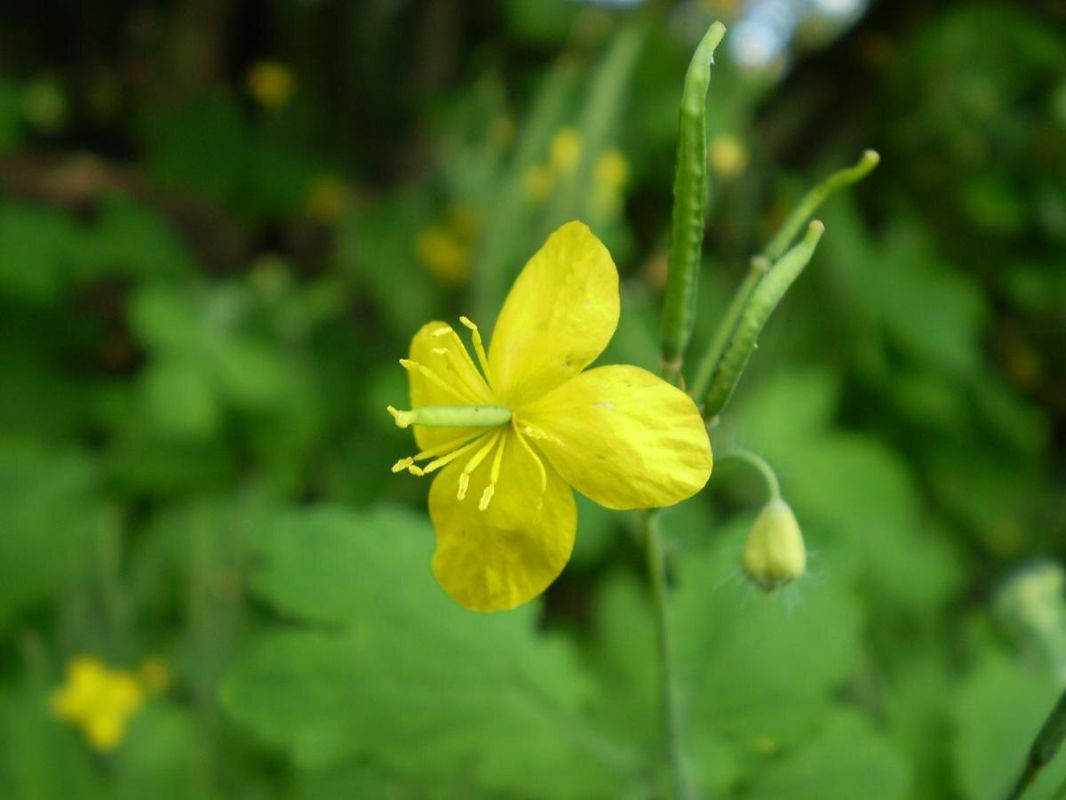 ��������: ������� ���������� ����� ������������� ��������