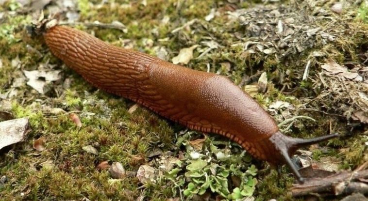 ����������� ������� ������ �� ��������: ��� �������� ���� ��� ���� ������