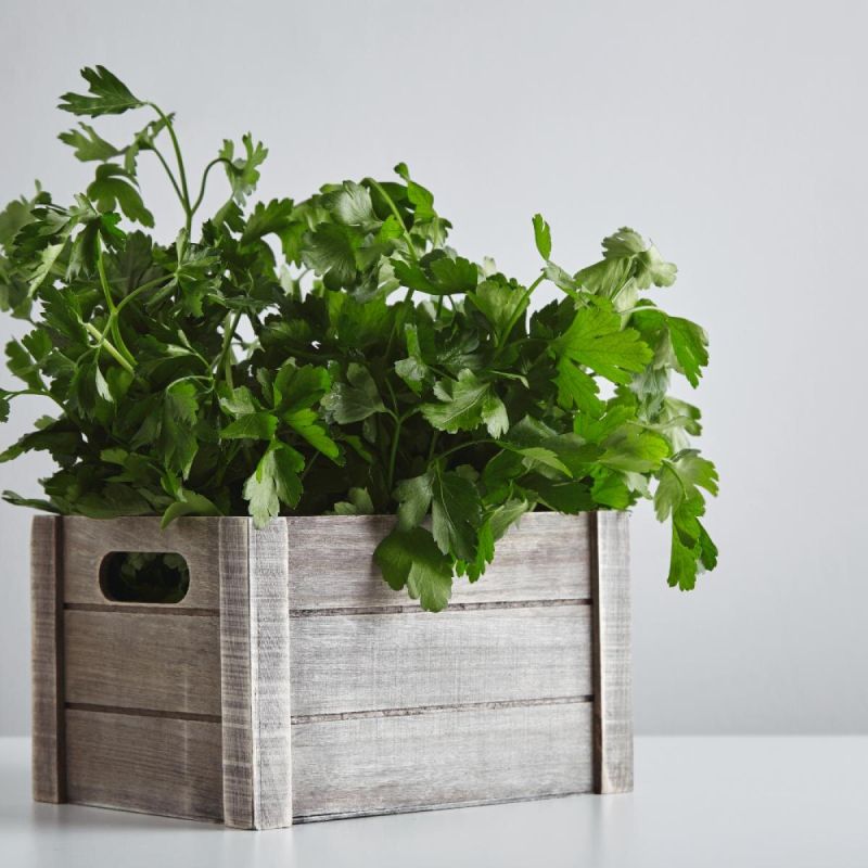 ��� ��������� ������ �� ��������: ������������ ������ ��� �������