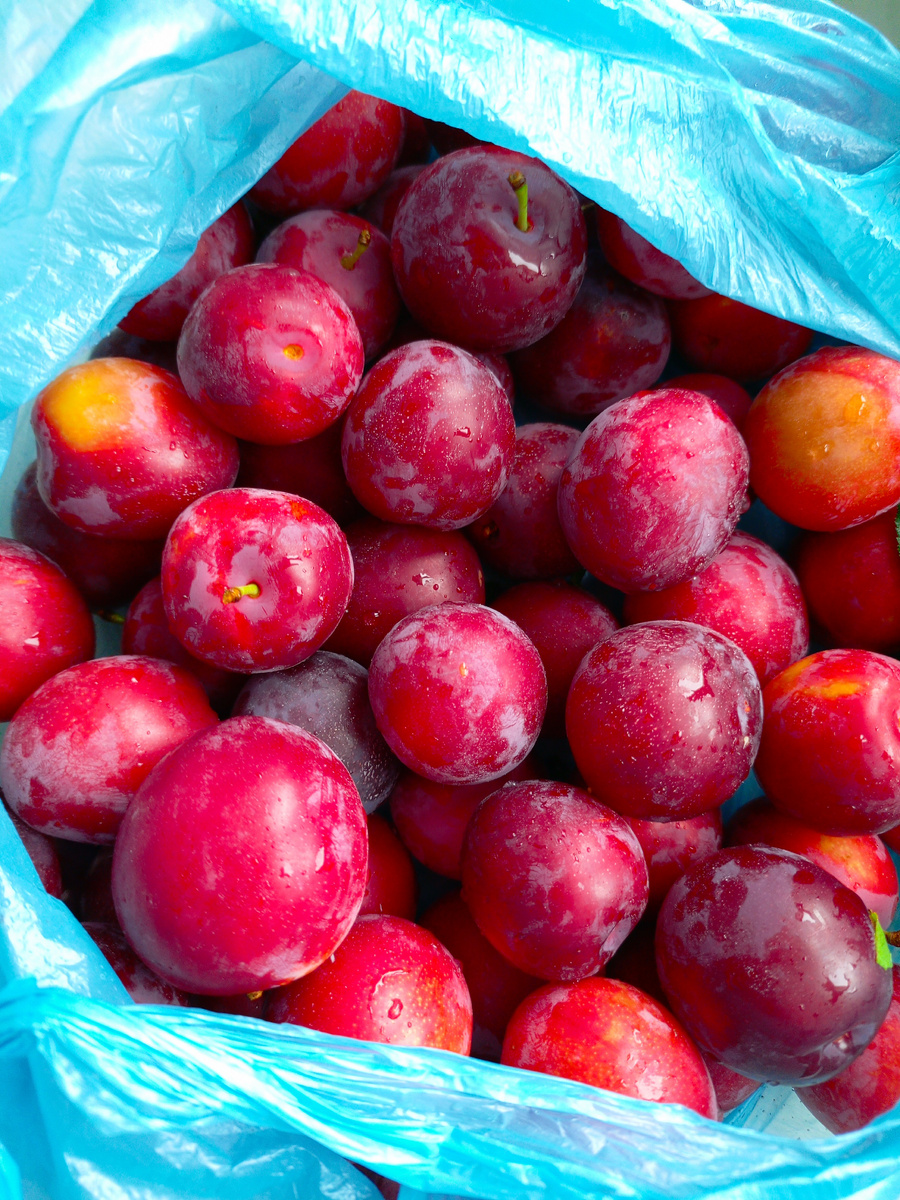 Непогода и угощения: как на неприятности реагируют с любовью