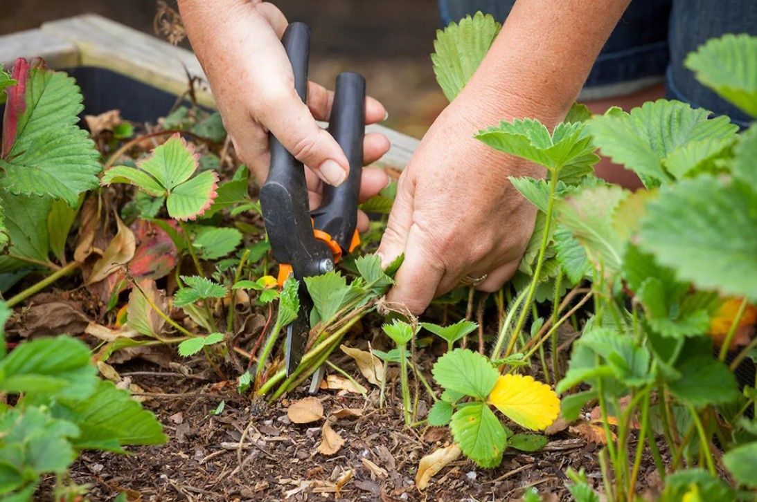 ��� ����������� �������� � ����: ������� �������� ����� ��� �������� ������