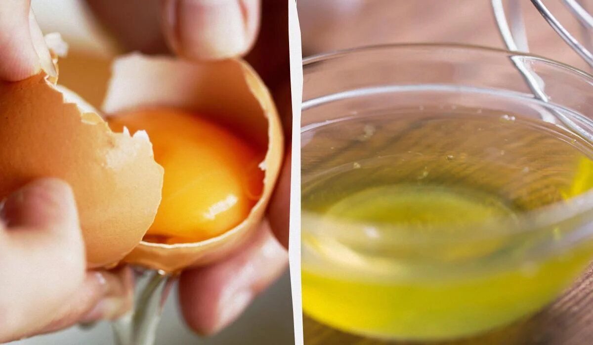 ��� ������� ���� ����� ��������� ��� ������ ������