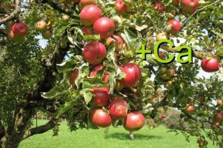 ������� ��� ������: ���� � �������� � ������� ������