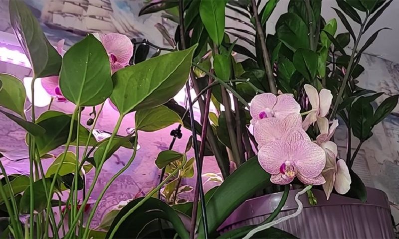 ��������������� �������� ��� ��������: ������� ����� ��� ��������� ���������