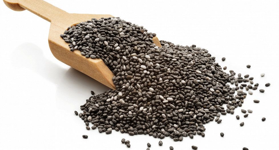 ������ ���: ������� ����������� ������� � �������������