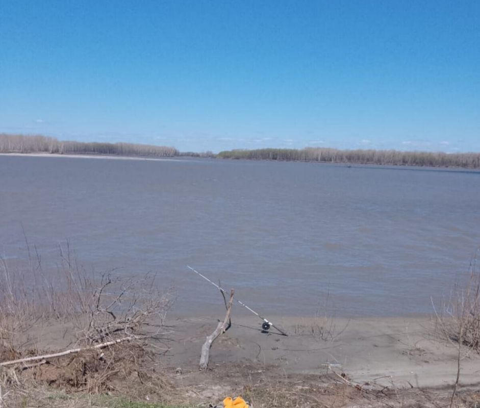 ������ �� �������: ��� ������� ����������� �� �����