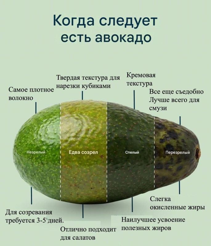 ��� ������� �������: ������� �������� � ������