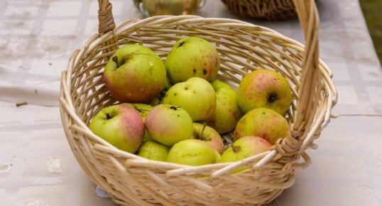 ����� ����� ������ �� �������� �������: �������� �������� �� ������ ������ ������