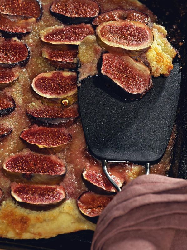 ������ ����� � �������: ���������� �����������