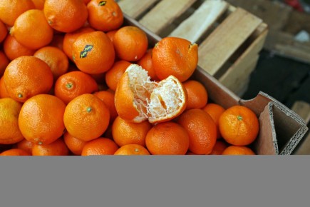 ��� ������� ����� ������� ���������: ������ ��������