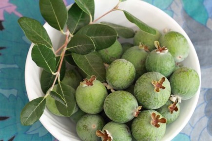 ������: ������������ ����� � ��������� ����������