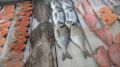 ФАС изучает причины скачка цен на популярные рыбы