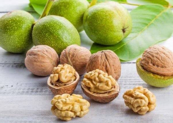 Грецкие орехи: маленькие герои здоровья и красоты