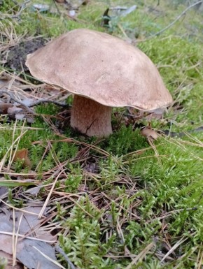 ����� � ����: ���� ����� ������ � ������� �������