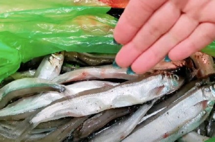 Новинка: дымная рыбка, которая завоюет ваше сердце