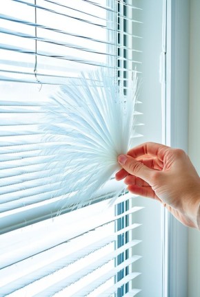 Пипидастр для уборки пыли: что это такое и в чем его эффективность