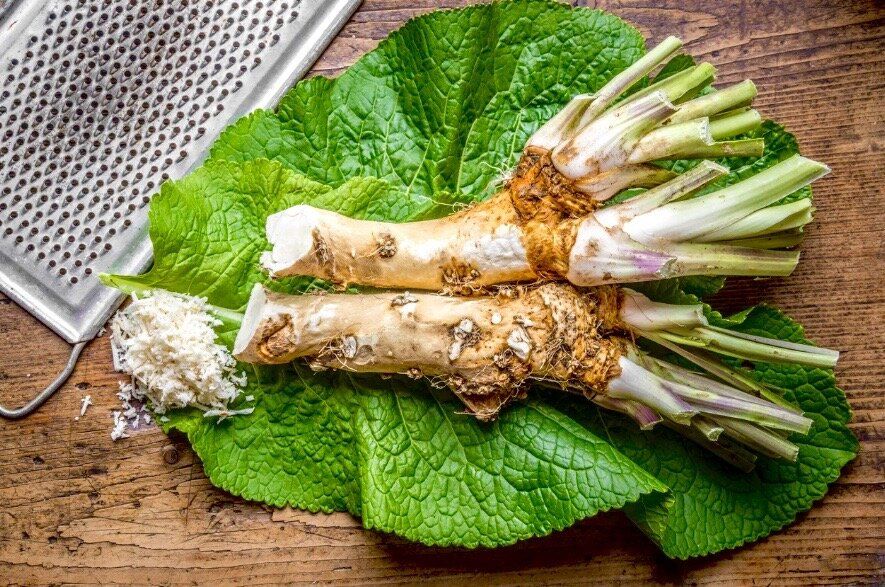 �������� ������ �����: ���, ��� ����� �����