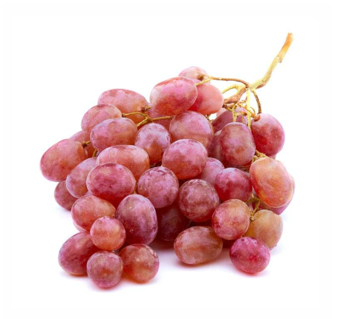 Секреты северного виноделия: советы и рекомендации профессионалов