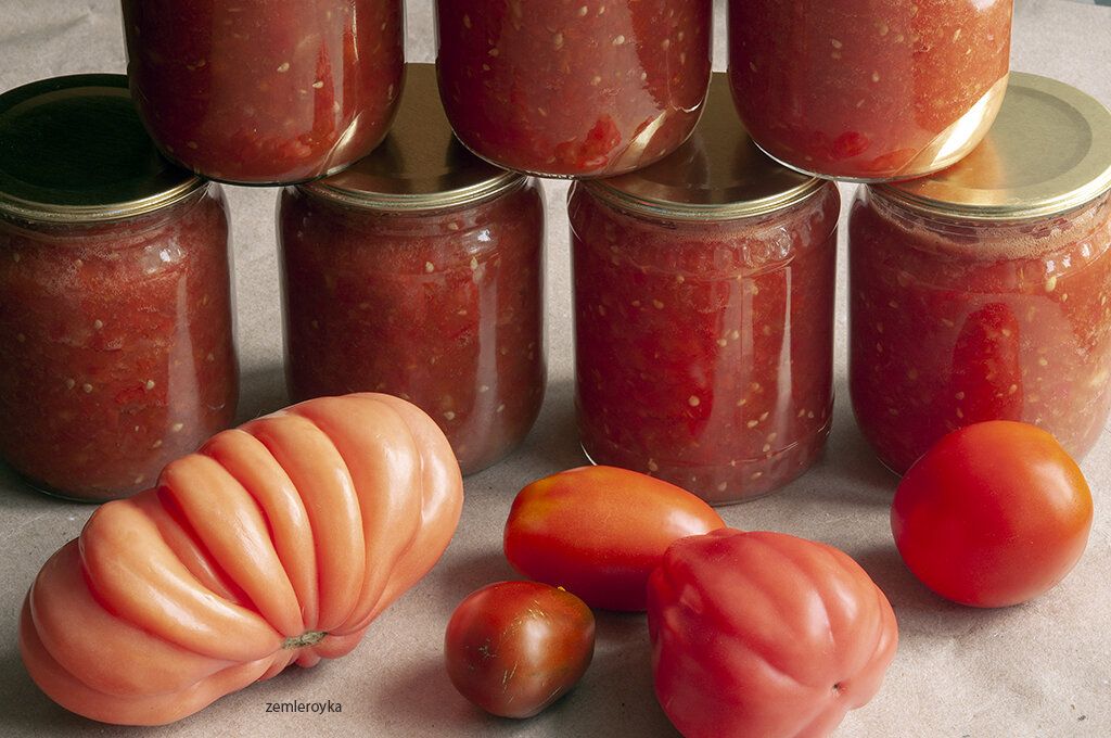 ��� ������ ������������ ��������: ������� � ��������-����� ������������ �����