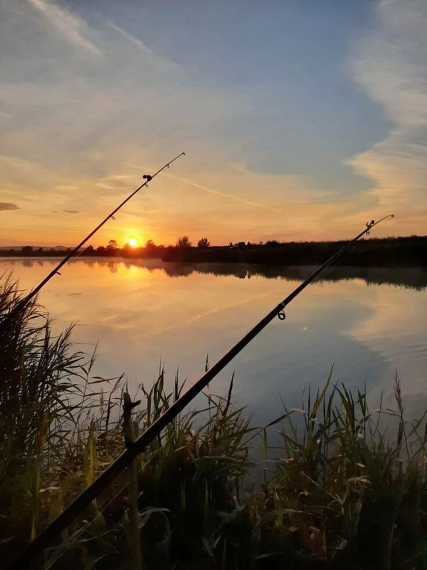 ������� ��� ������� �������: ����� ����� ����� � ����