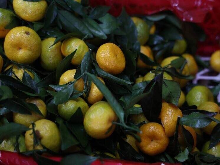 ������������ ��������: ����� ���������� ������������� ��� �������� �� �������