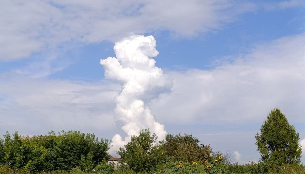 ��� �������� �������� ��� ������: ������ � ������ ����������