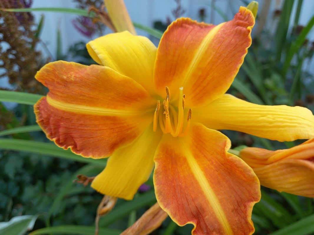 ��� ������ ����� ���������� ������� � ������ ��� ����