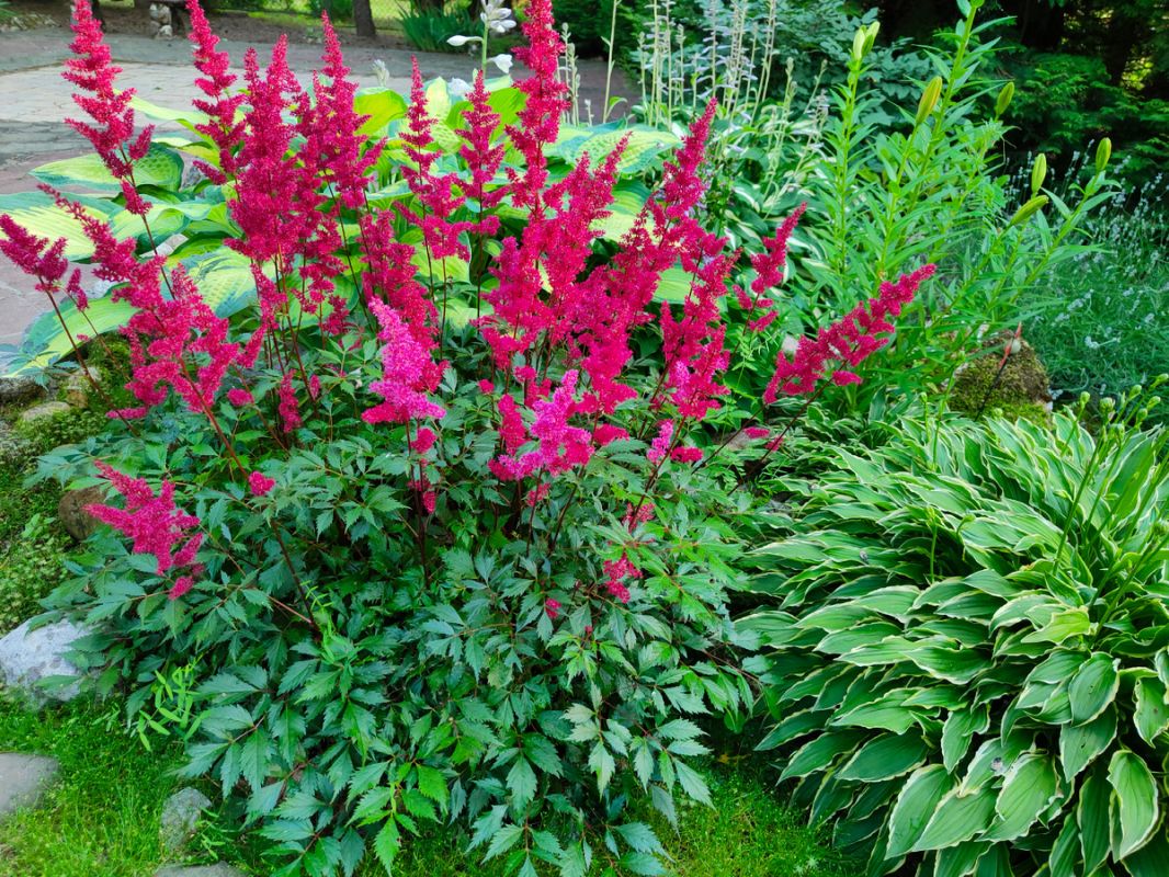 ������ ����: ������� ���� �� ������ ���