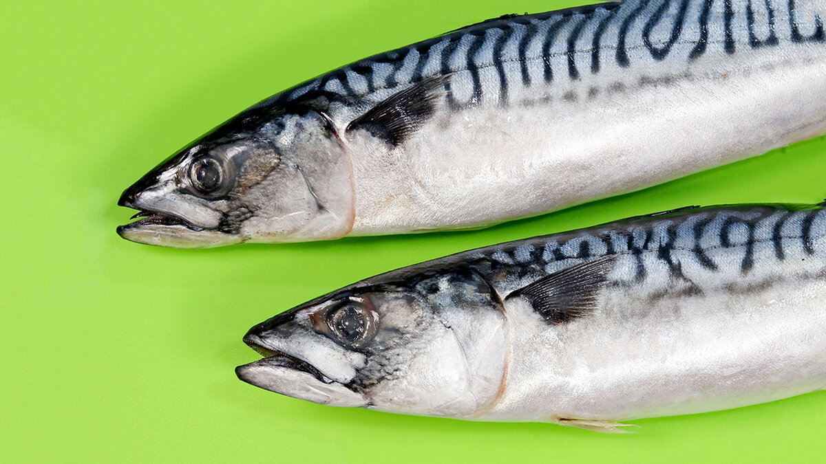 Скумбрия в разных интерпретациях: пять простых способов приготовления