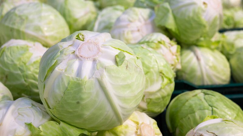 �� ����� ���� ��������� ��� ������: ����� �������� �� ����� ������ ������