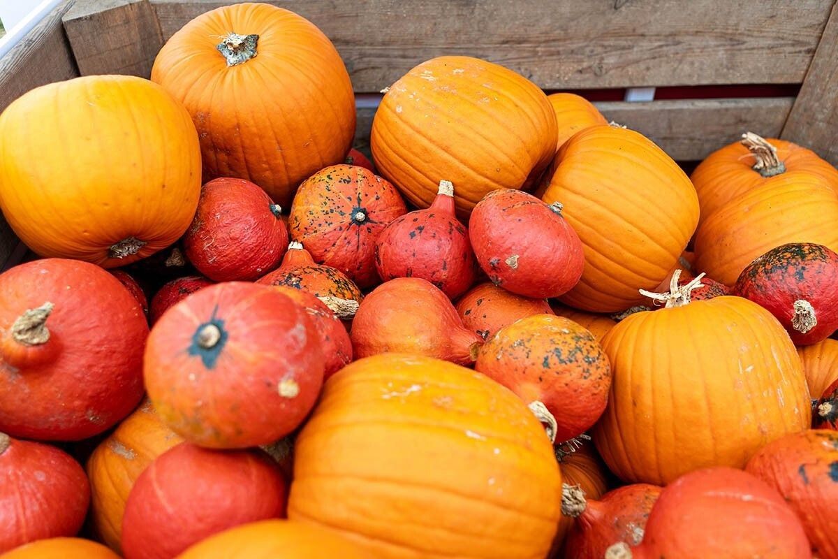 ��� ��������� ����� �� ����: ������� ������ ��� ����������