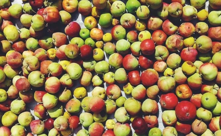 ����: ��������� ������, ������� ���������� ������� ���������