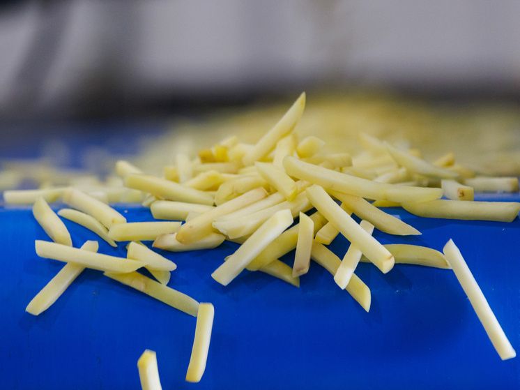 �� ������ �������� ��������� ���� ��������� ���