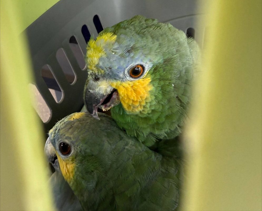 ���� � Ѹ��� ������������ �� ������� ����� ������������ � ������